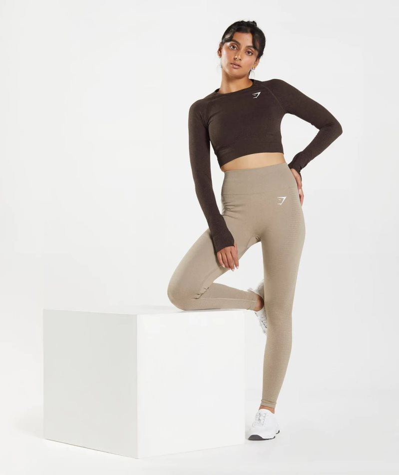 Women's Gymshark Vital Seamless 2.0 Cropped Tops Chocolate | CA 307D68